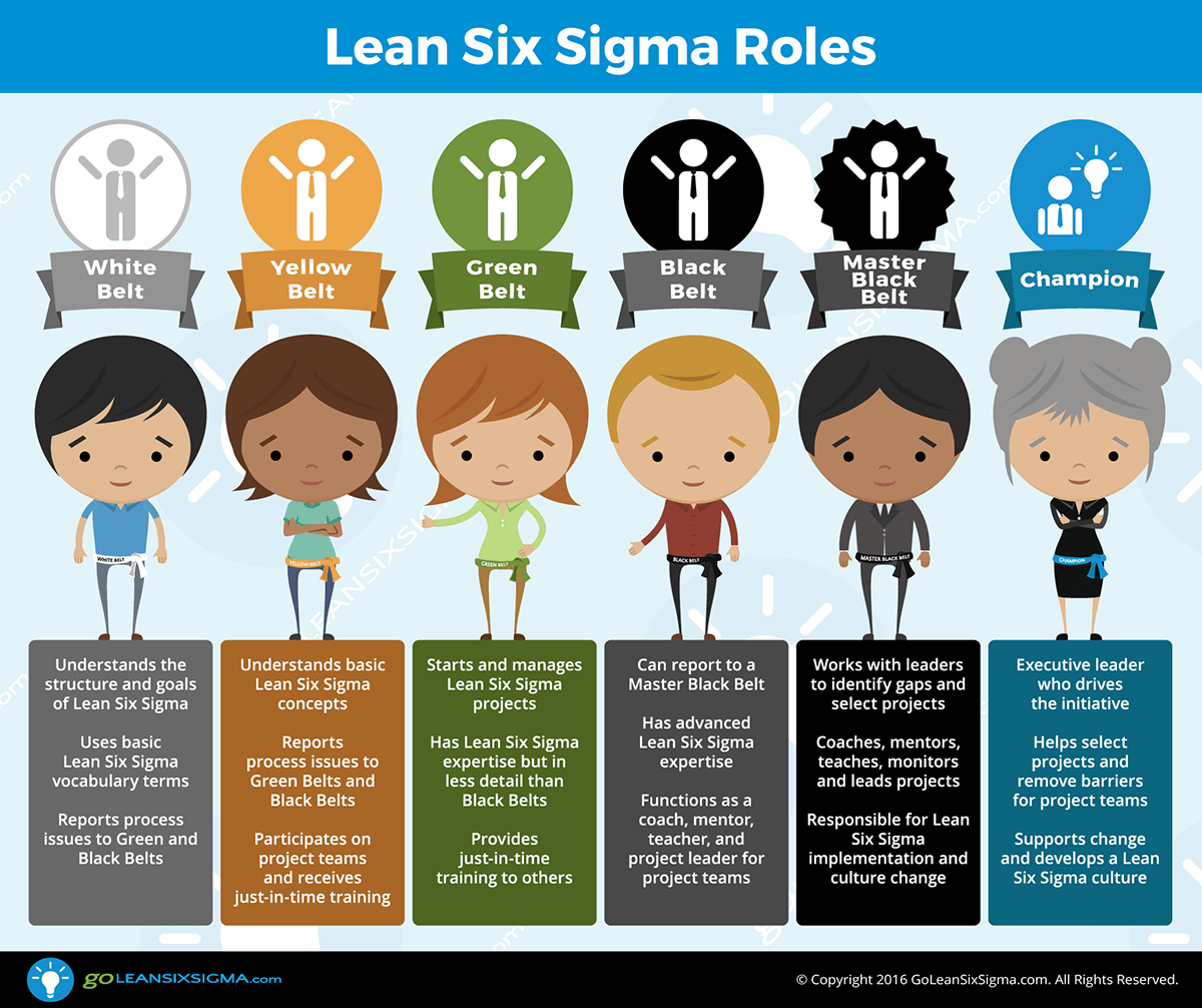 Lean Six Sigma Yellow Belt Training Foto2017