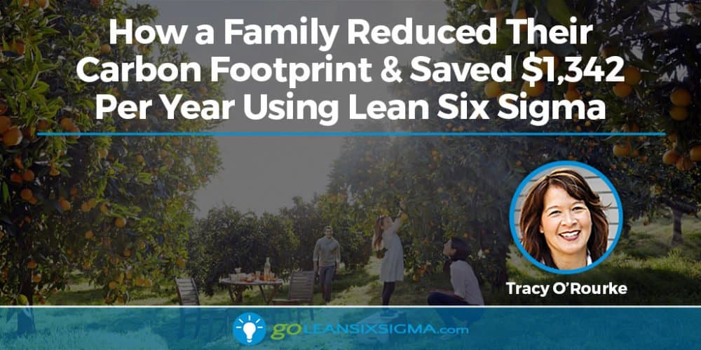 How A Family Reduced Their Carbon Footprint And Saved $1,342 Per Year Using Lean Six Sigma - GoLeanSixSigma.com