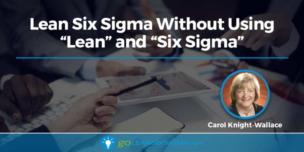 Lean Six Sigma Without Using "Lean" and "Six Sigma" - GoLeanSixSigma.com