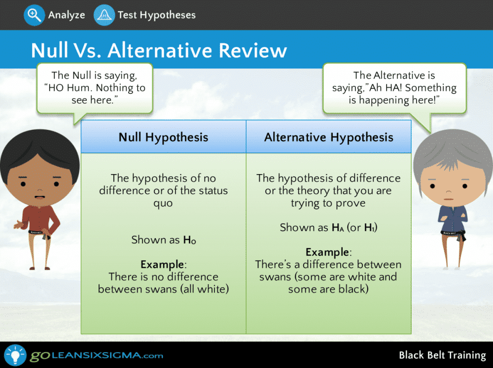 Black Belt Training & Certification