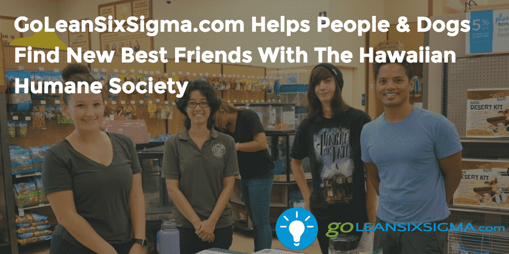 GoLeanSixSigma.com Helps People Dogs Find New Best Friends With The Hawaiian Humane Society - GoLeanSixSigma.com
