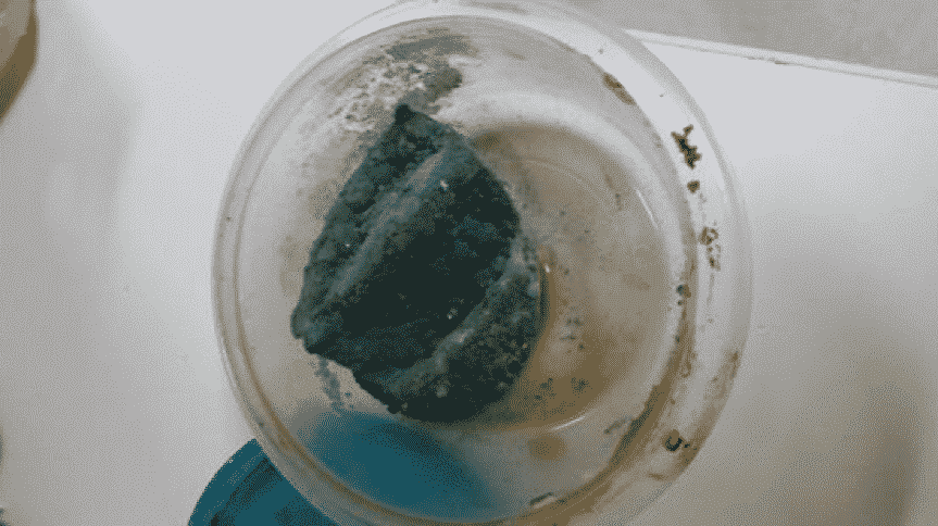 Moldy Lemon - GoLeanSixSigma.com
