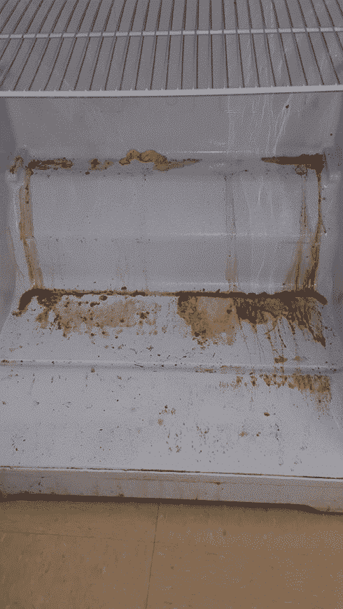 Rusy Fridge - GoLeanSixSigma.com