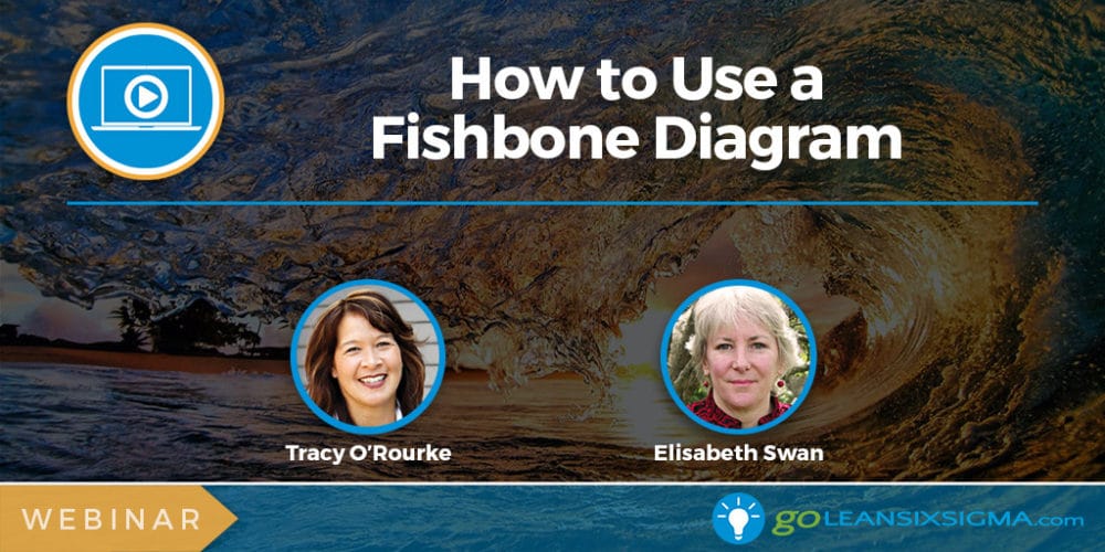 Webinar: How to Use a Fishbone Diagram - GoLeanSixSigma.com