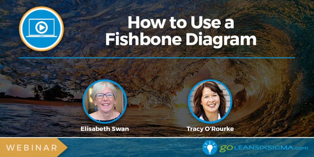 Webinar: How to Use a Fishbone Diagram - GoLeanSixSigma.com