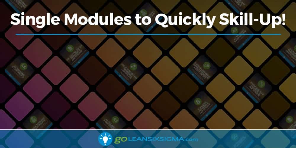 New: Single Modules To Quickly Skill-Up! - GoLeanSixSigma.com