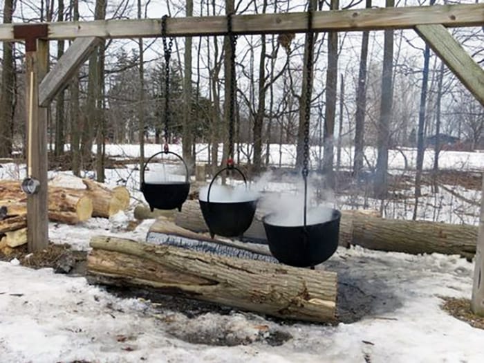 Creating Maple Syrup - GoLeanSixSigma.com