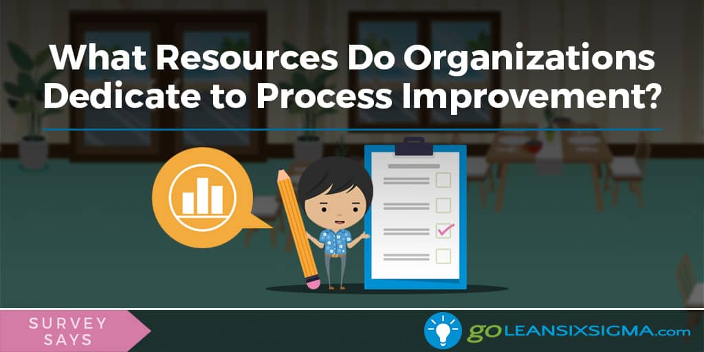 Survey Says: What Resources Do Organizations Dedicate to Process Improvement? - GoLeanSixSigma.com